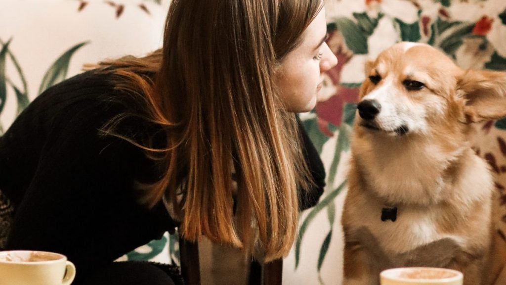 Café Pet-friendly, Café con Animales