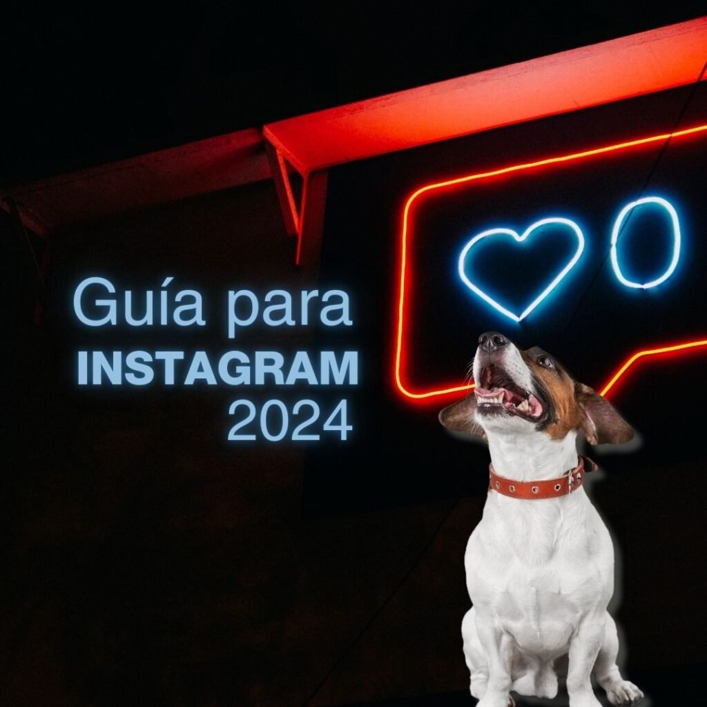 la pata marketing, gabriela rivera, agencia de pet marketing en madrid, españa, guia para instagram 2024