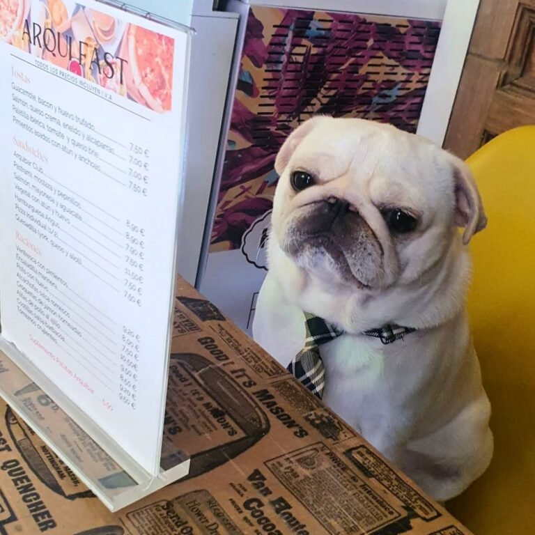 Pablo Carlino en La Pata Marketing