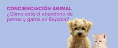 abandono de perros y gatos, España