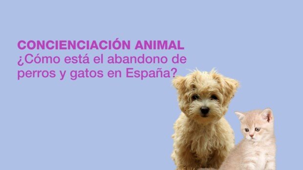abandono de perros y gatos, España