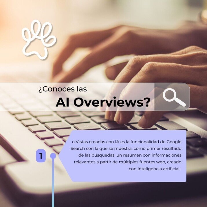 la pata marketing, agencia de pet marketing en madrid, ai overviews